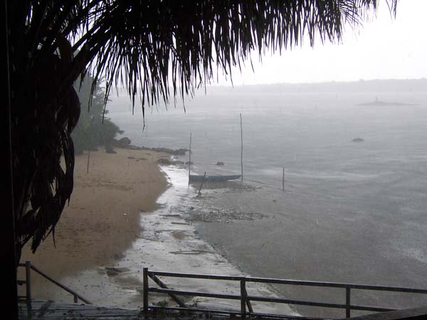 rainy1