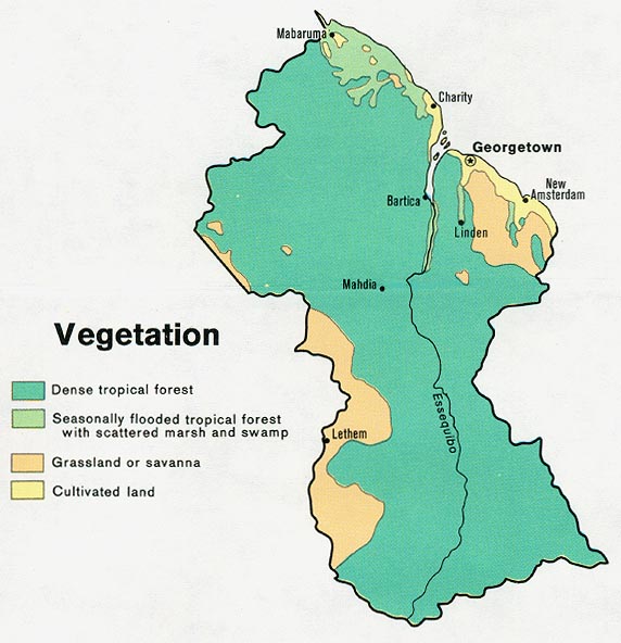 guyana_veg_1973